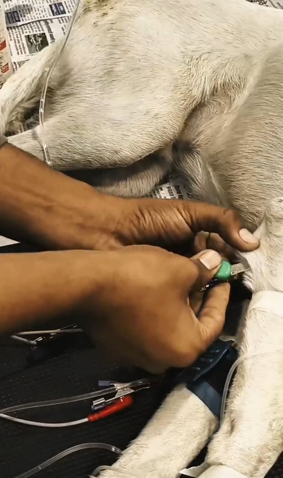 Critical Care & IV Therapy