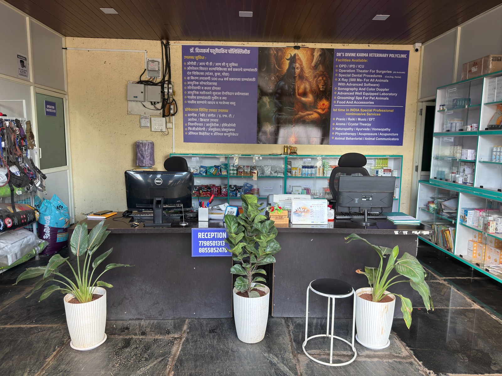 Reception & Pharmacy